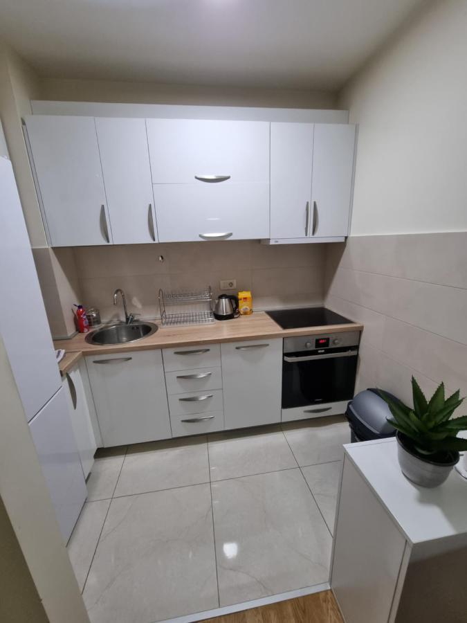 Riverside Apartment Podgorica Bagian luar foto